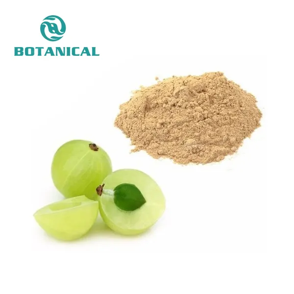 Factory Supply Herbal Extract Phyllanthus Emblica Amalaki Extract Indian Gooseberry Extract