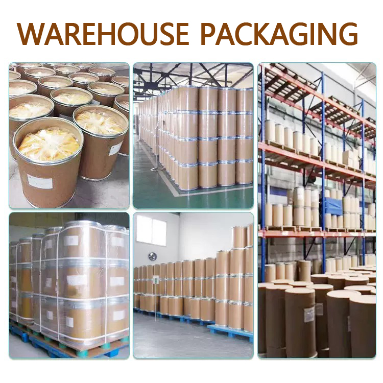 High-grade Ganoderma Lucidum Extract Powder, Ganoderma Lucidum Lingzhi with Specified Confirmation Info on High
