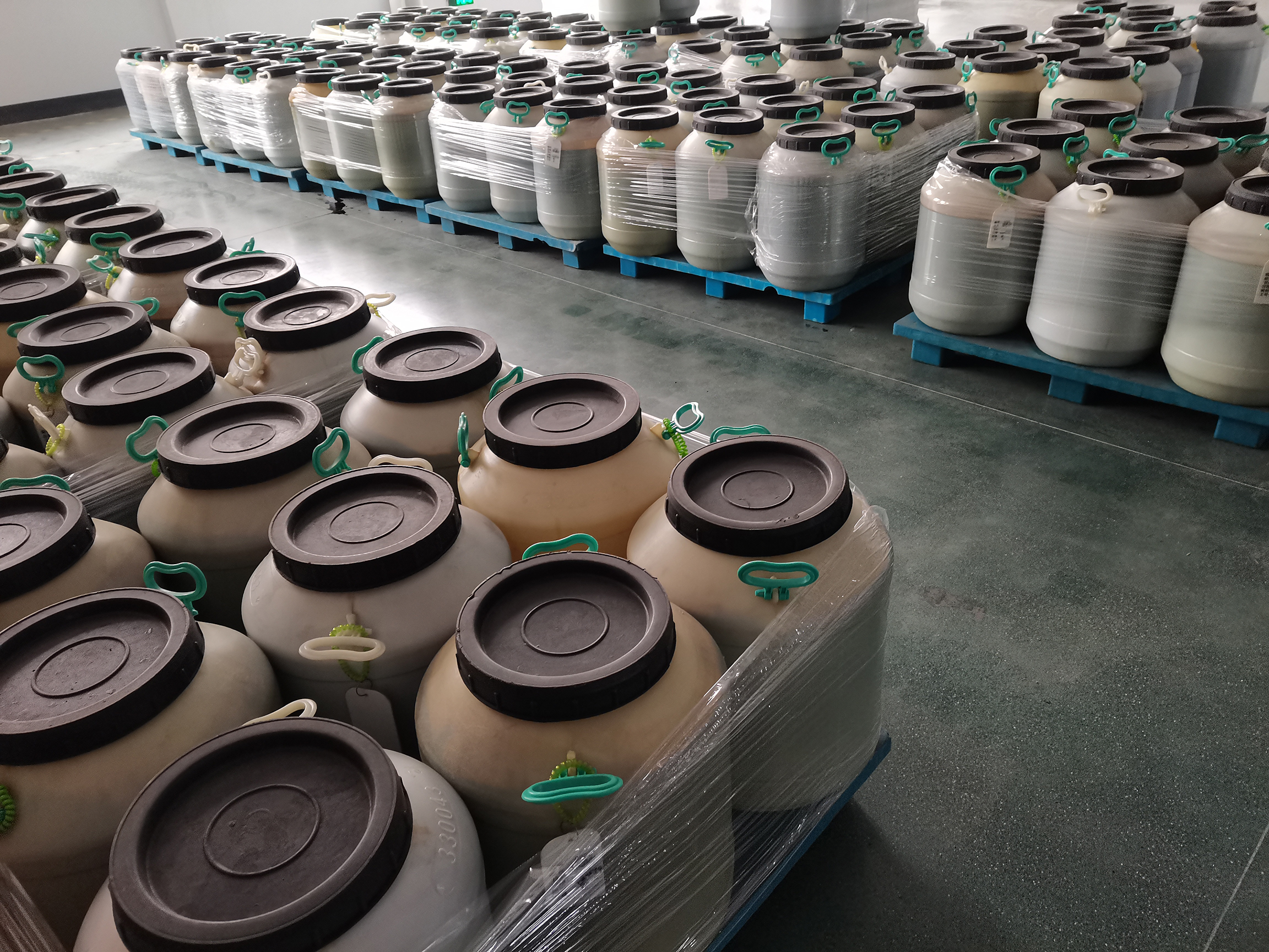 Pseudostellaria Heterophyll Extract Quality Check