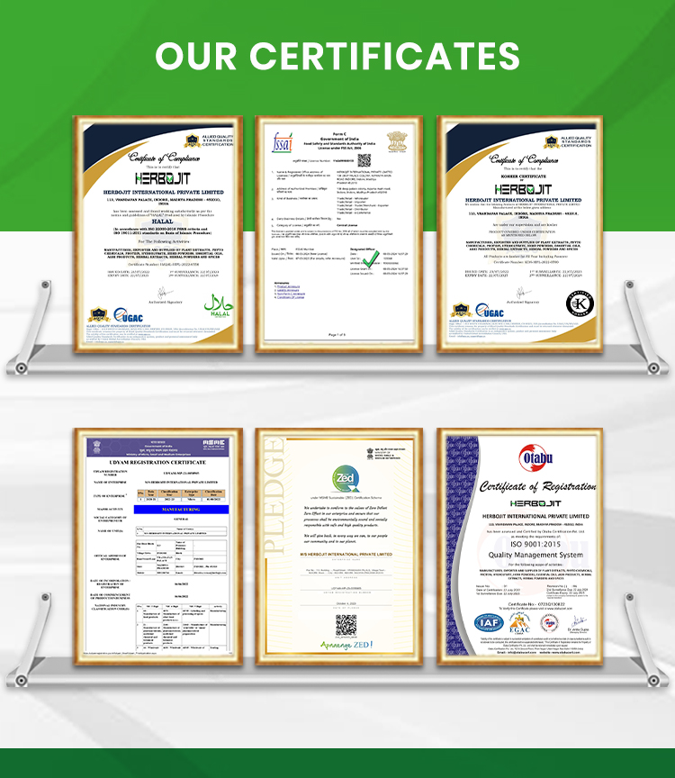 Certificate Image 11
