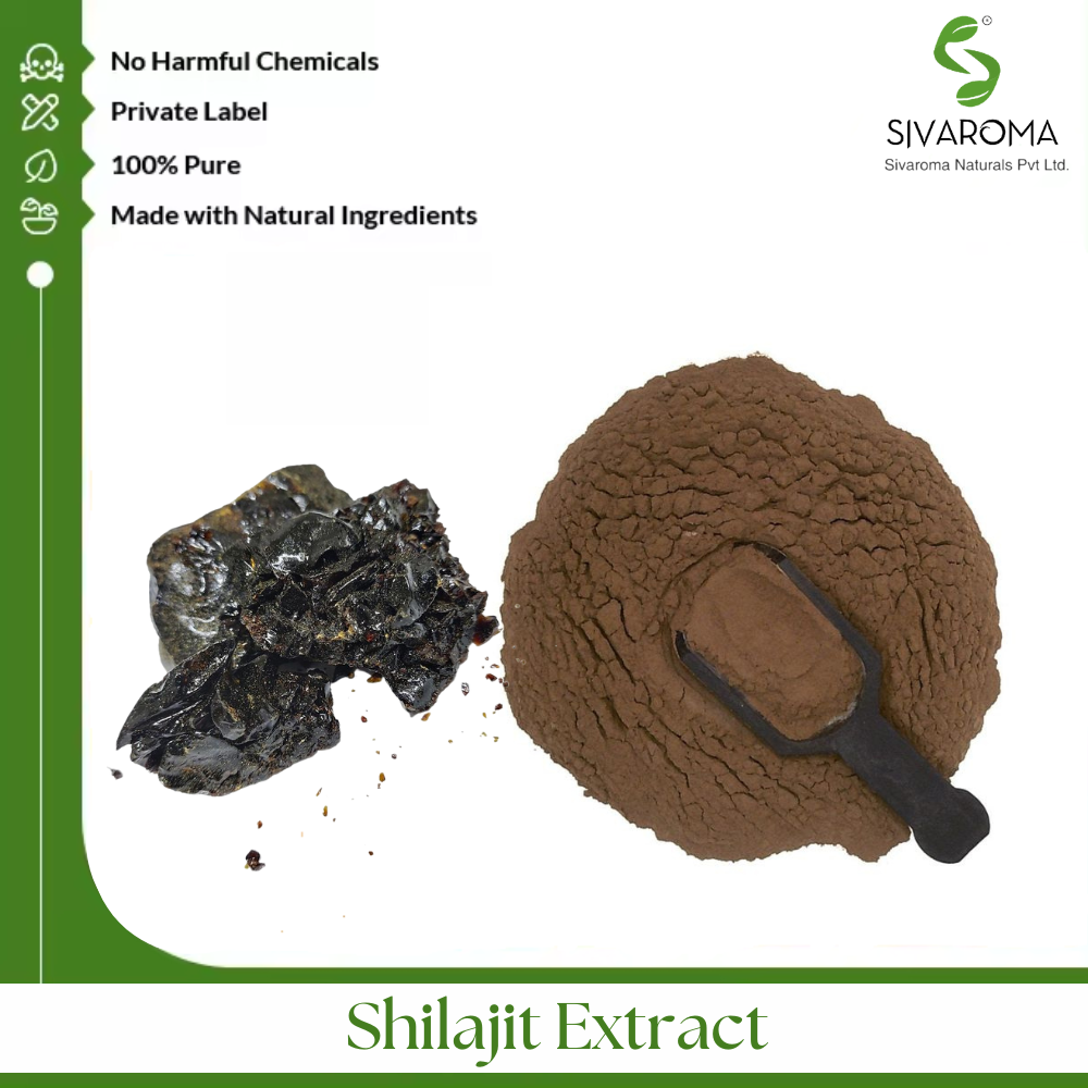 Pure Natural Shilajit Extract Powder Certified Herbal Extract Dietary Supplements Bulk Supply Ayurvedic Formulations Health