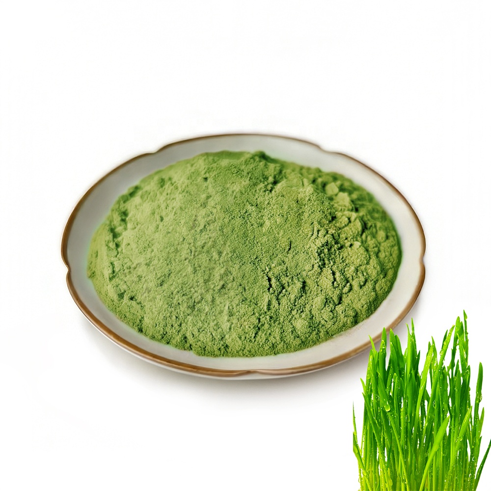 High Purity Natural Wheatgrass Powder Herbal Extract Water Extract for Beverages and Food Applications in Bottle/Drum Packaging