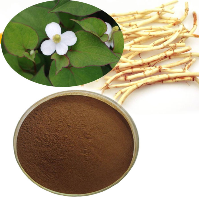 Heartleaf Houttuynia Herb Extract for Improving Immunity Used in Nutritional Food