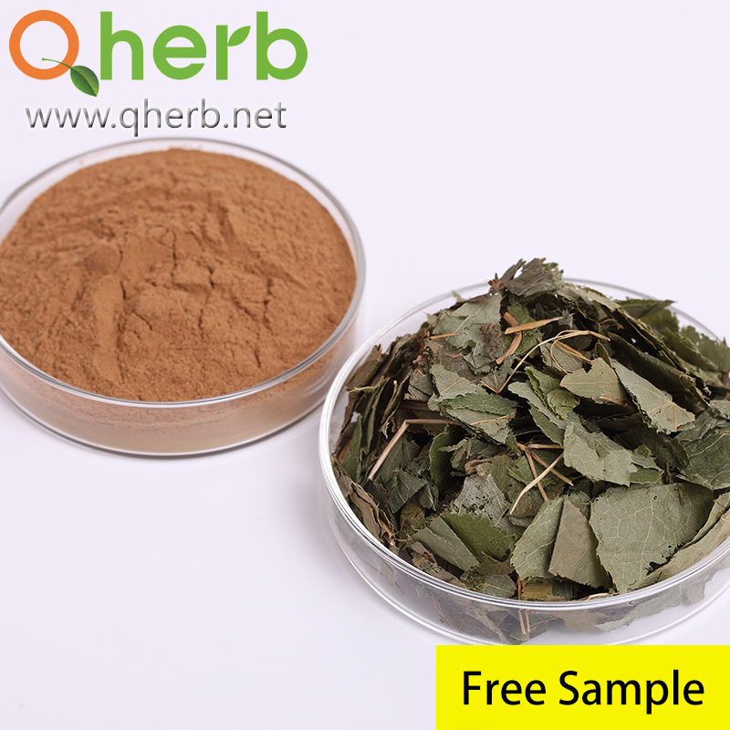 Nutrition Supplement 20% Horny Goat Extract Epimedium Extract