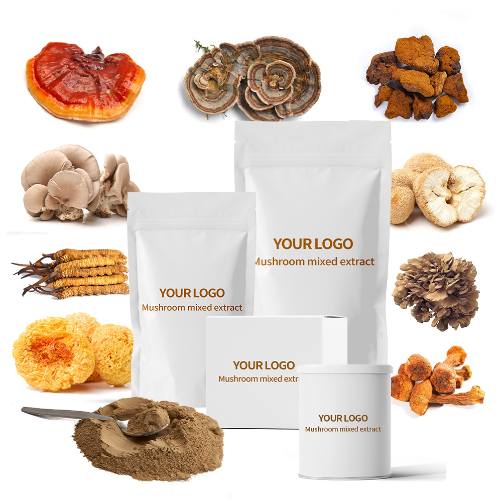 Factory Supply Natural High Quality Mushroom Blend Extract Powder Reishi,Chaga, Cordyceps, Lion's Mane