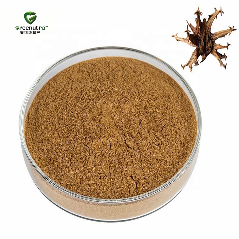 Clinical Strength Harpagophytum Extract