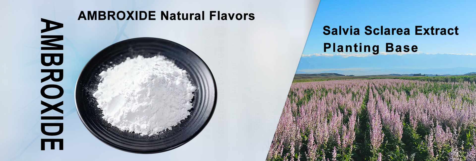 Dietary Supplements