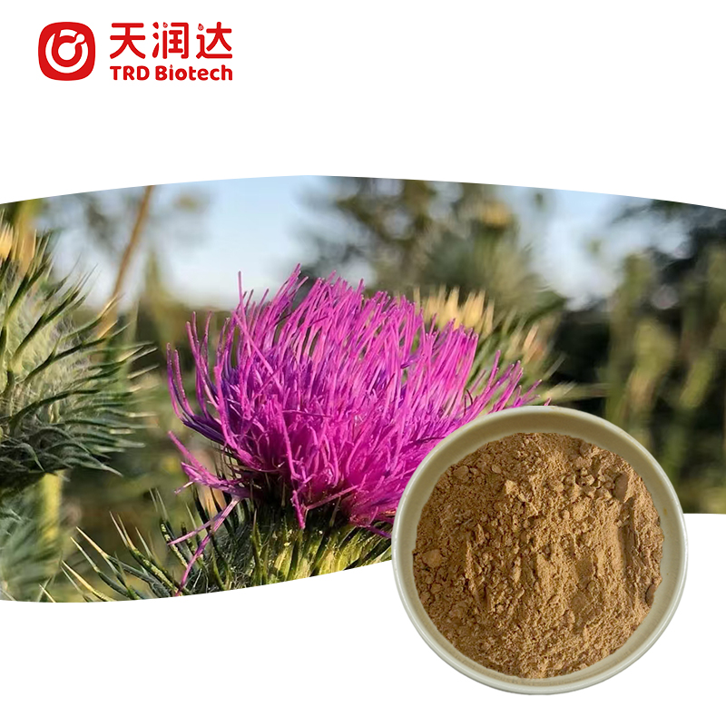 Milk Thistle Extract Powder 70% Silymarin UV Standardized Herbal Extract Bulk Supply for Food Supplement