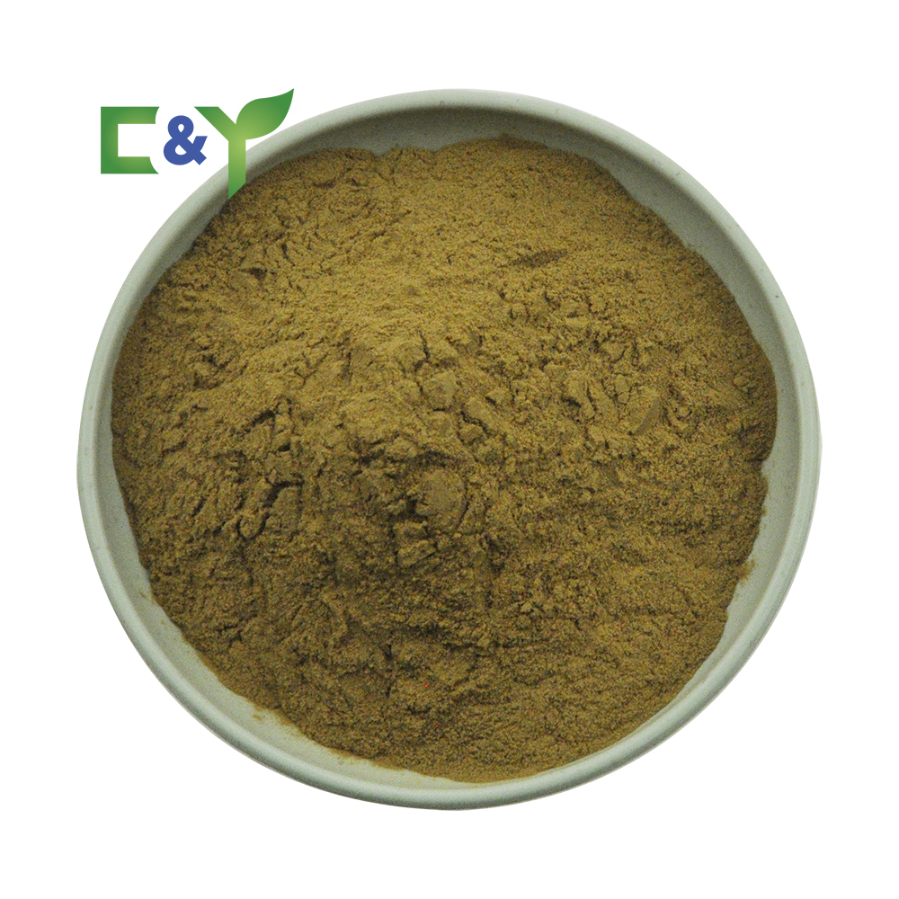 Manufacturers Selling Chinese Traditional Herb Rhubarb Root Extract Herbal Rhubarb Root Extract 99% Emodin