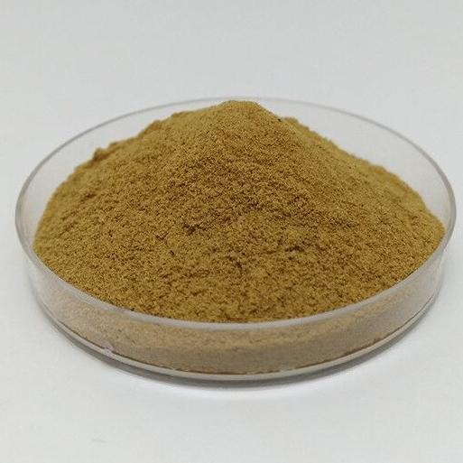 High Quality Nettle Extract Powder with 4: 1 10: 1 100% Natural Herbal Extract Fully Water-Soluble