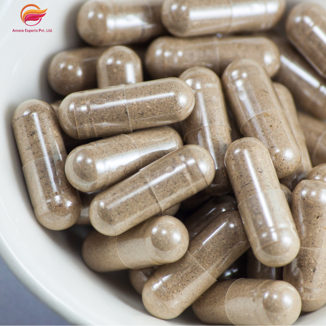 Shilajit Capsules Specifications