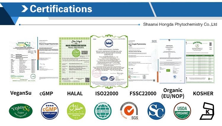 Standardized Workshop