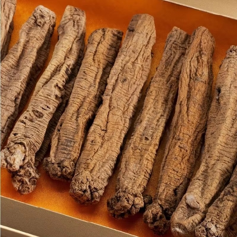 Pure Natural Wellness Botanical Codonopsis Root Dangshen Spleen Benefiting Traditional Chinese Herb Stock