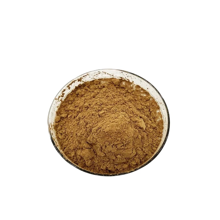 B.C.I Supply Natural Plant Extract 10:1 20:1 50:1 100:1 Radix Aucklandiae Extract Costus Root Extract Powder