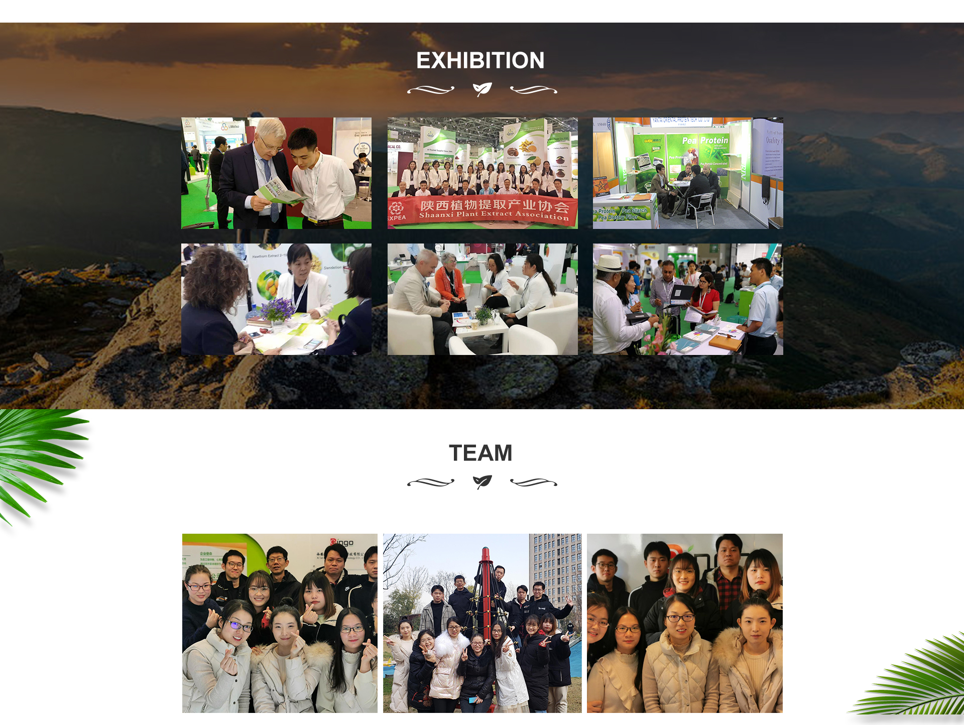 Product Showcase 2