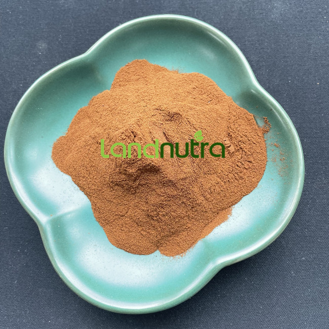 Lotus Leaf Extract