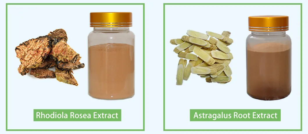 Water Soluble Nuciferin Nuciferine Lotus Leaf Extract with Effect of Weight Loss Herbal