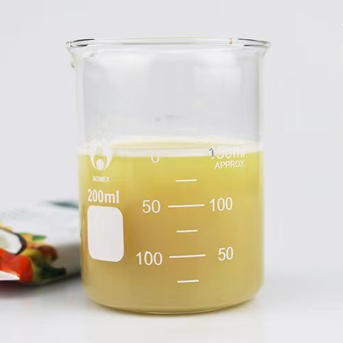 High Quality Chinese Herbal Extract Dried Ginger Extract