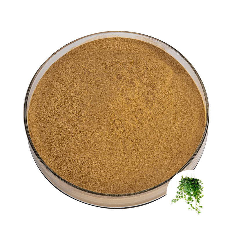 Custom-Grade Premium Botanical Ivy Gourd &amp; Leaf Extract Powder 100% Organic Natural Herbal Wholesale OEM/ODM