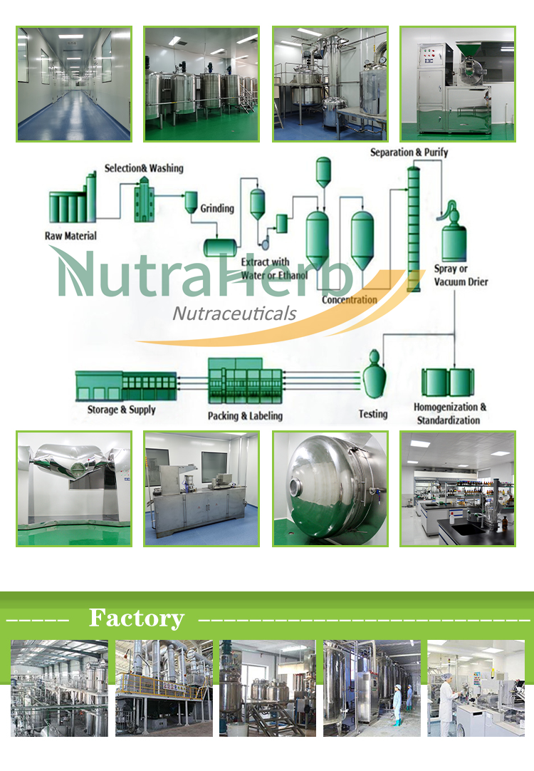 Production Flow Chart