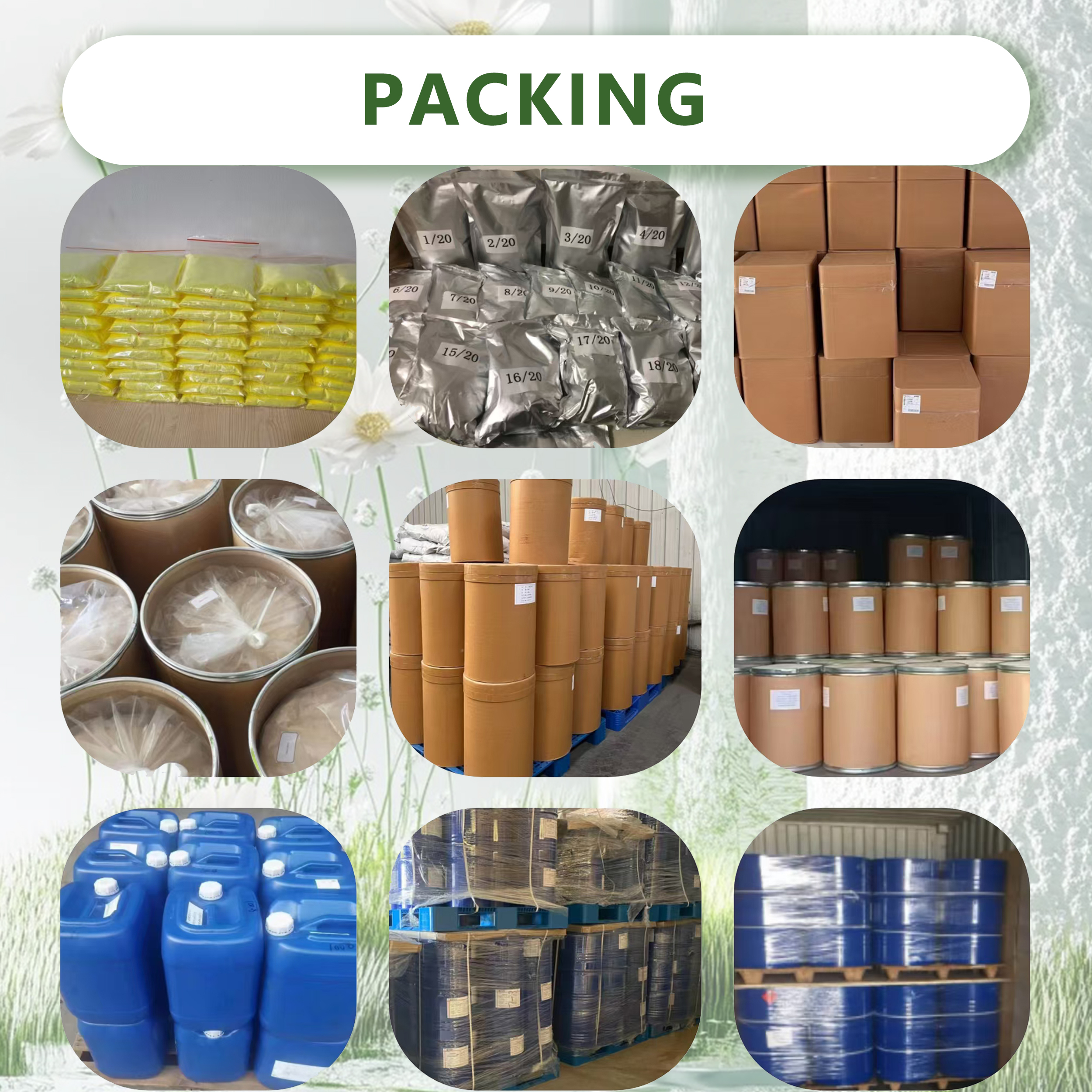 Packaging Box Detail