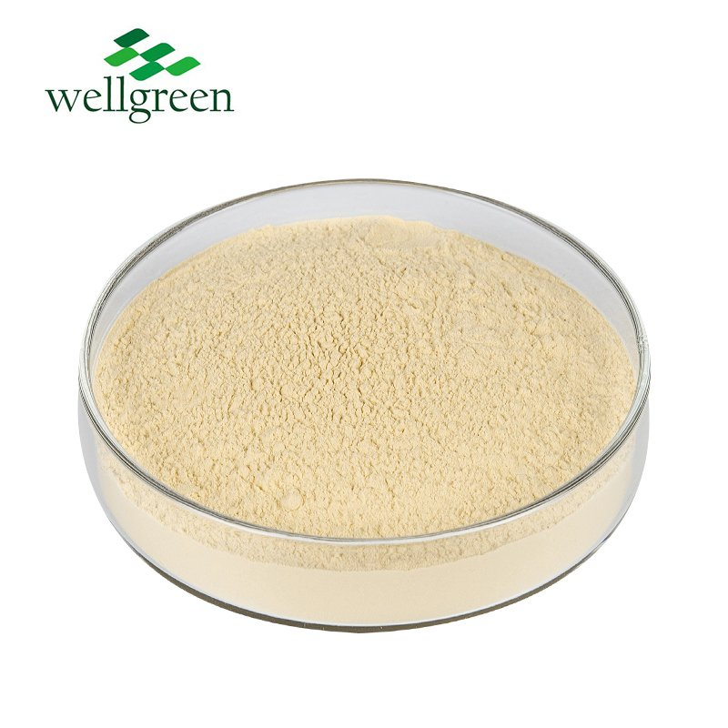 Wellgreen High Quality Panax Ginseng Root Powder 5%-80%Ginsenosides Ginseng Extract Powder