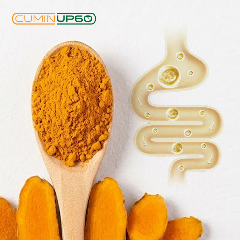 Anti-Inflammatory CuminUP60 Curcumin Root Extract Food Grade Herbal Extract High Bioavailability Natural Antioxidant