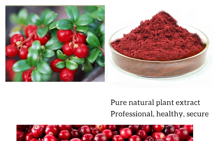 Cranberry Extraction Process
