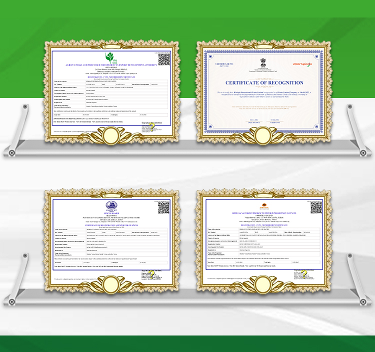 Certificate Image 12