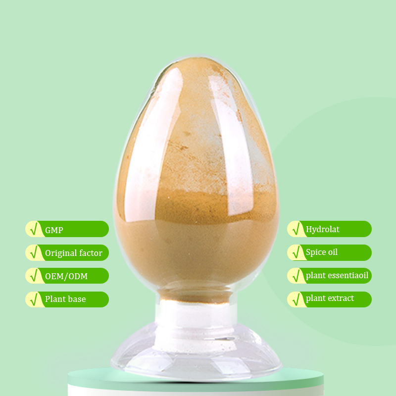 Herbal Extract Health Food Raw Materials Purslane Herbs Extract Powder