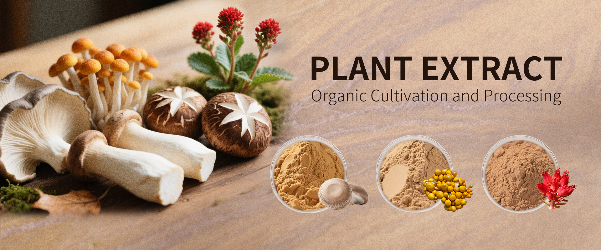 Product Showcase Banner