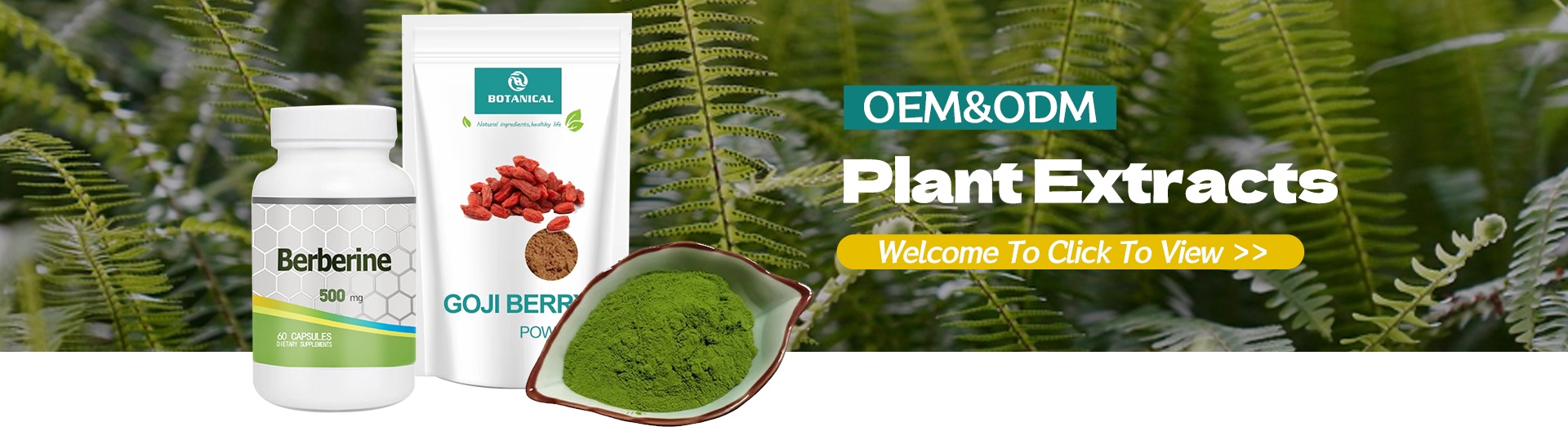 Pineapple Powder Banner