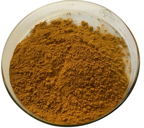Pure Cacumen Platycladi Orientalis Extract Natural Hair Care Herbal Raw Powder