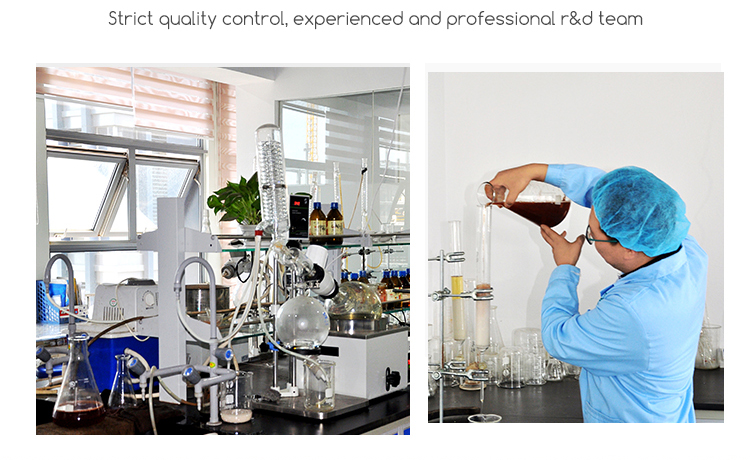 Extract Testing