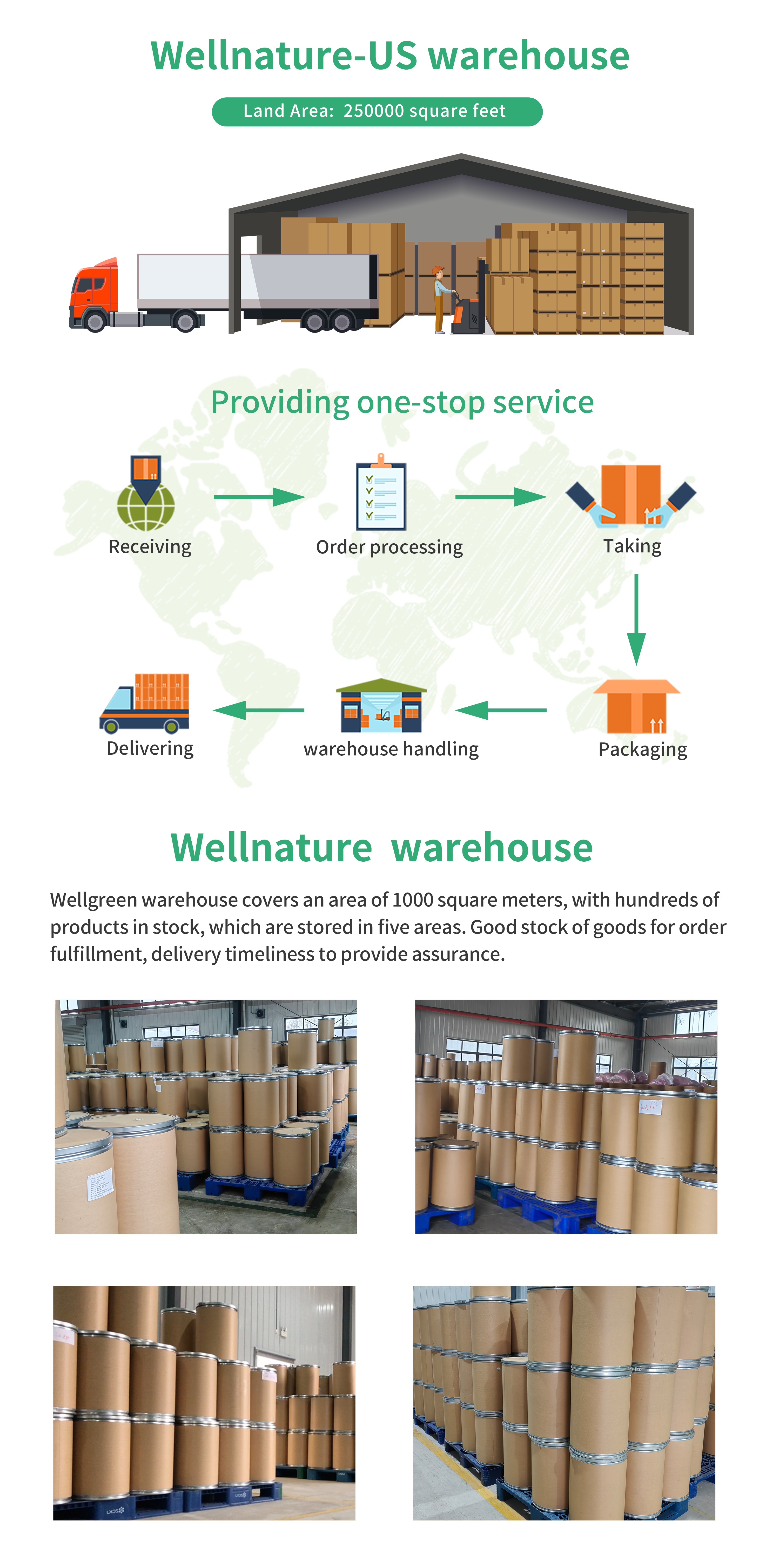 Packaging Line 3