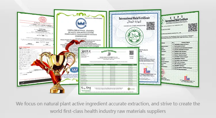 Rhubarb Extract Chinese Traditional Herb Rhubarb Root Extract