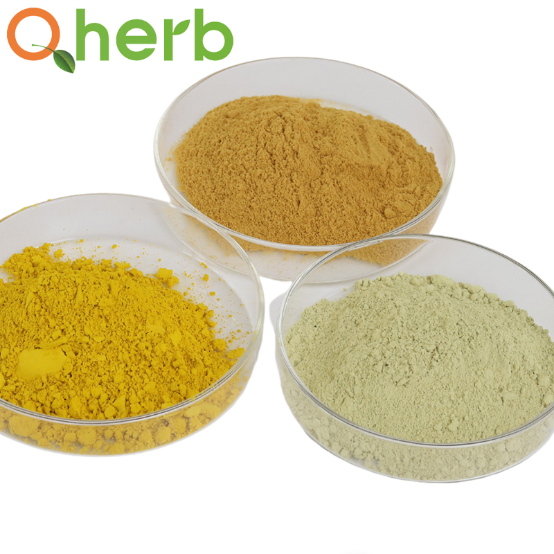 ISO Certificate Natural Nutrition Pumpkin Flour Powder/Pumpkin Seed Extract with Best Price