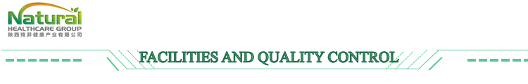 High Quality Plant Extract Pine Needle Leaf Extract 10:1/20:1 Free Sample