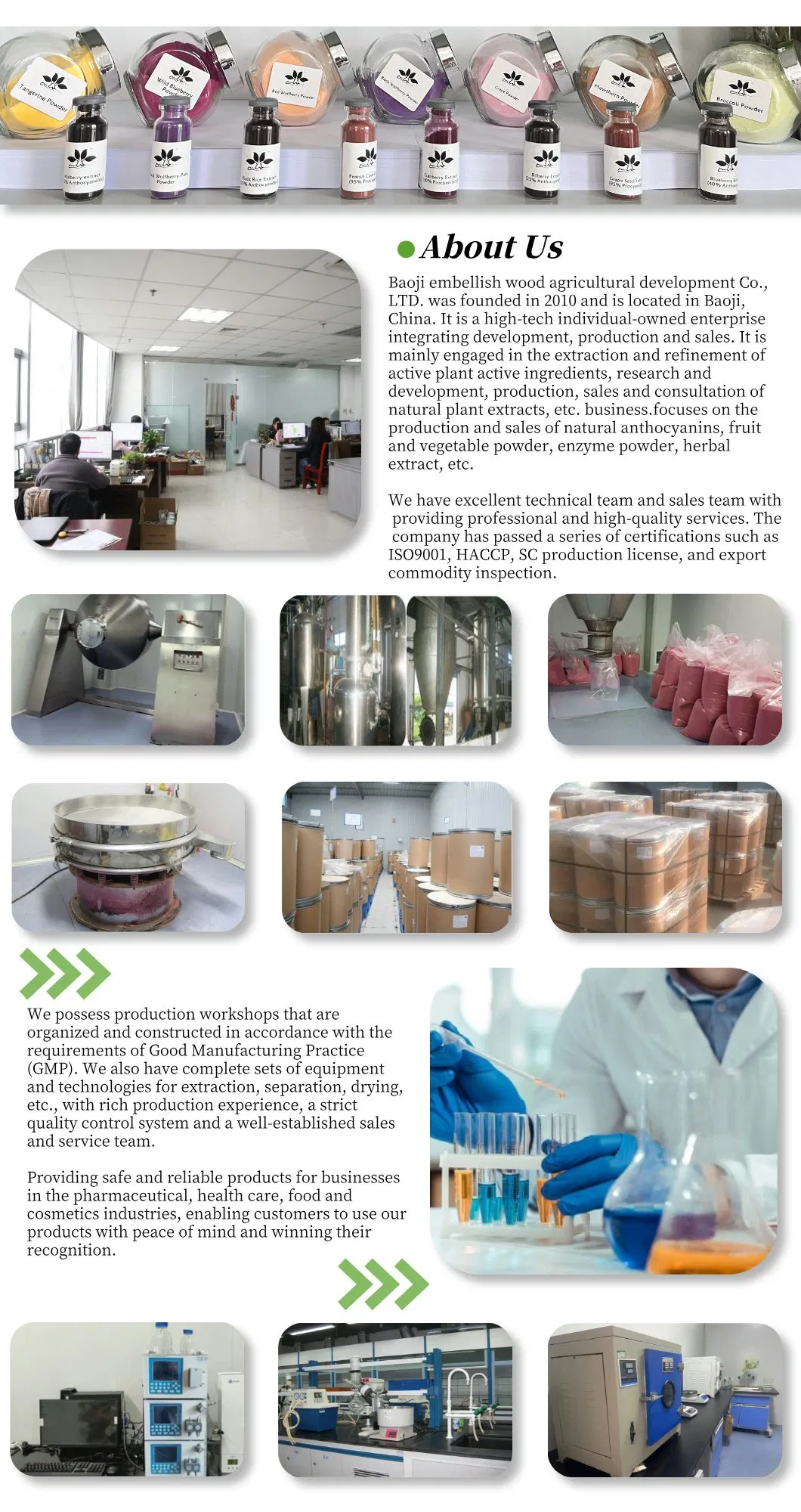 Premium Lily Bulb Extract Powder Detail 5