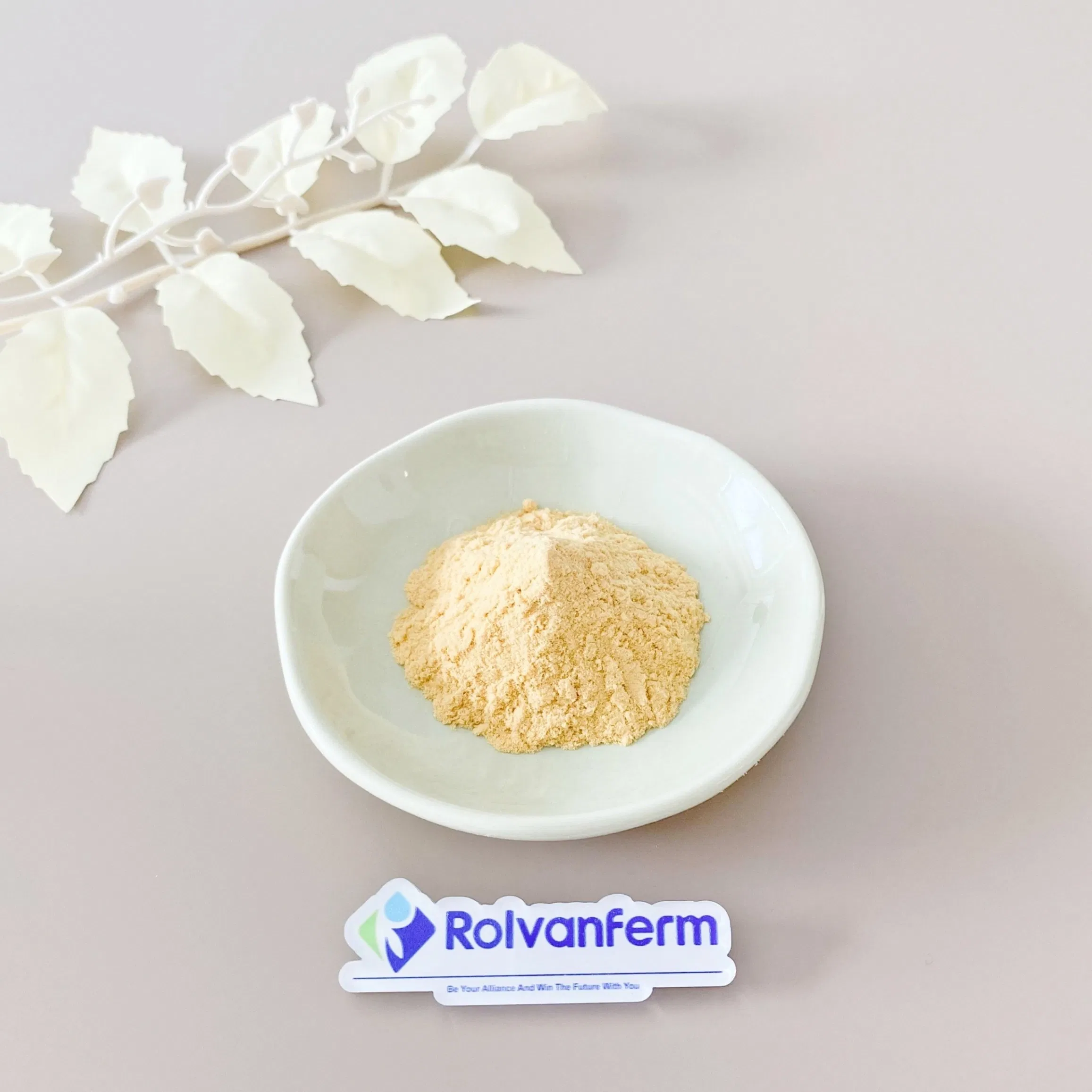 Pet-Grade Rosemary Extract for Natural Preservation and Functional Pet Food Formulations