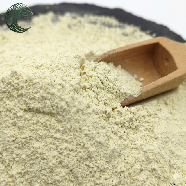 Factory Supply Wholesale Bulk Food Grade 98% Luteolin Sophora Japonica Bud Extract Powder Anti-Inflammatory Drum 2 Year Shelf