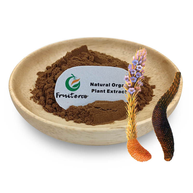 Herbal Cistanche Deserticola Extract Powder Cistanche Tubulosa Extract Cistanche Extract