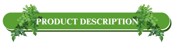 Product Description Banner