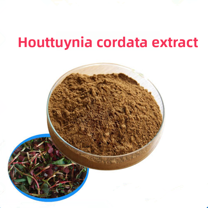 Factory Supply 20:1 Houttuynia Cordata Extract Powder Natural Houttuynia Herb Extract Concentrate Water Soluble