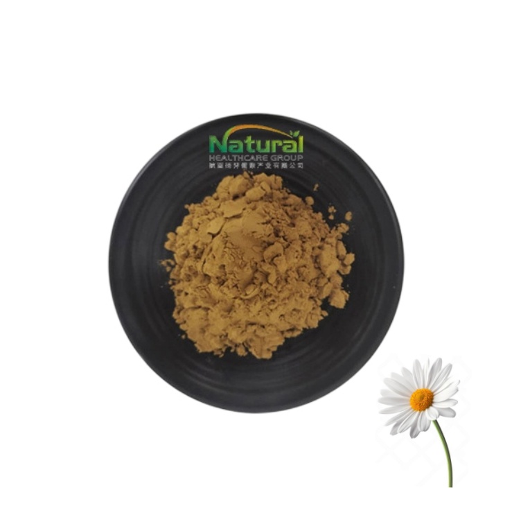 Good Quality Chrysanthemum Extract Powder Manufacture Supply Chrysanthemum Extract Powder for Sale