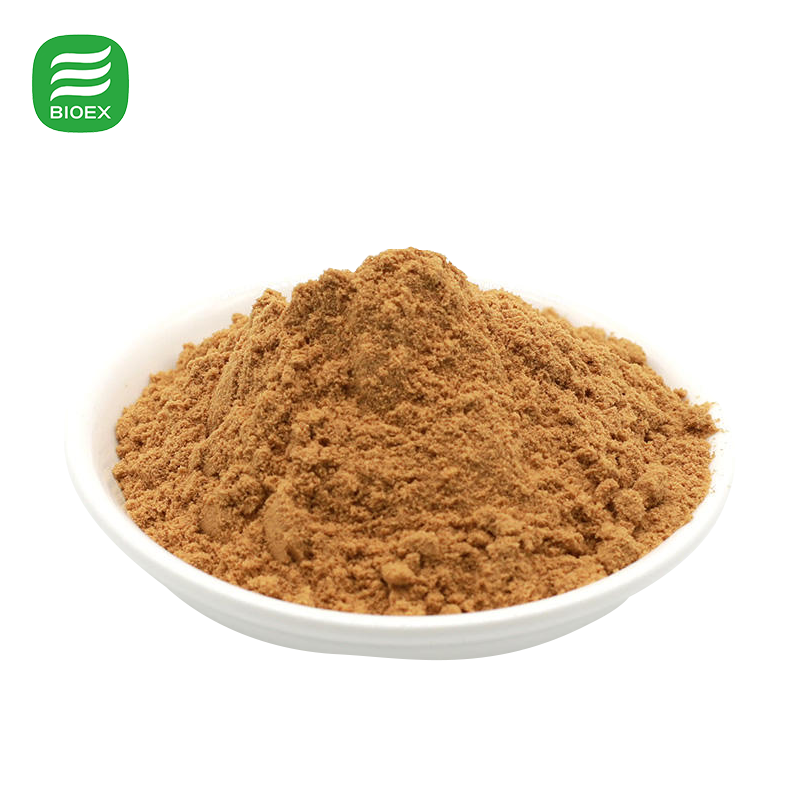 Certified Organic Milk Thistle Seed Extract Wholesale High Potency Silymarin Powder