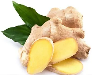 Ginger Root Extract Powder