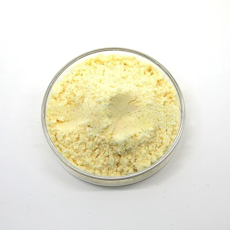 High Quality Chinese Herbal Extract Dried Ginger Extract