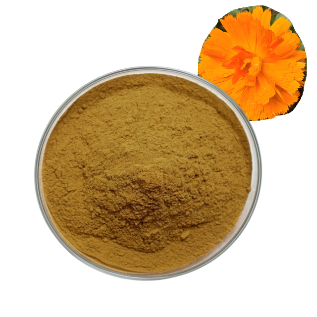 Calendula Extract Powder Product Overview