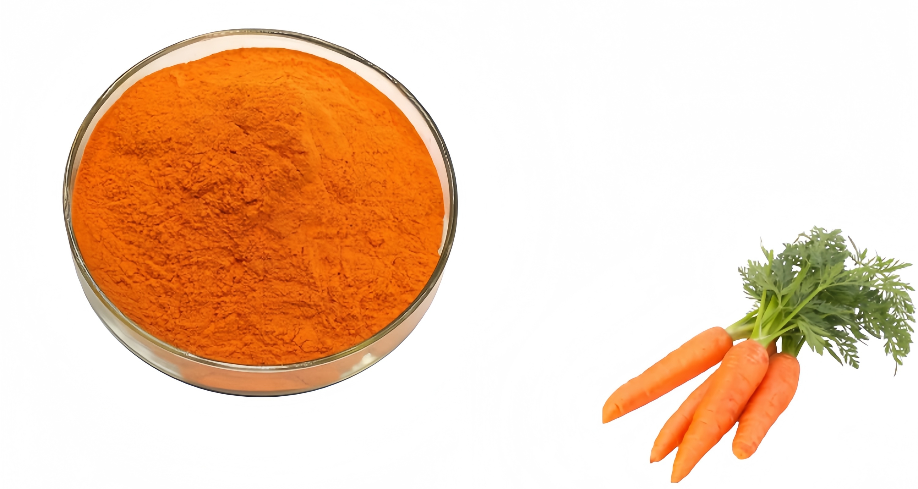 Carrot Powder Close Up
